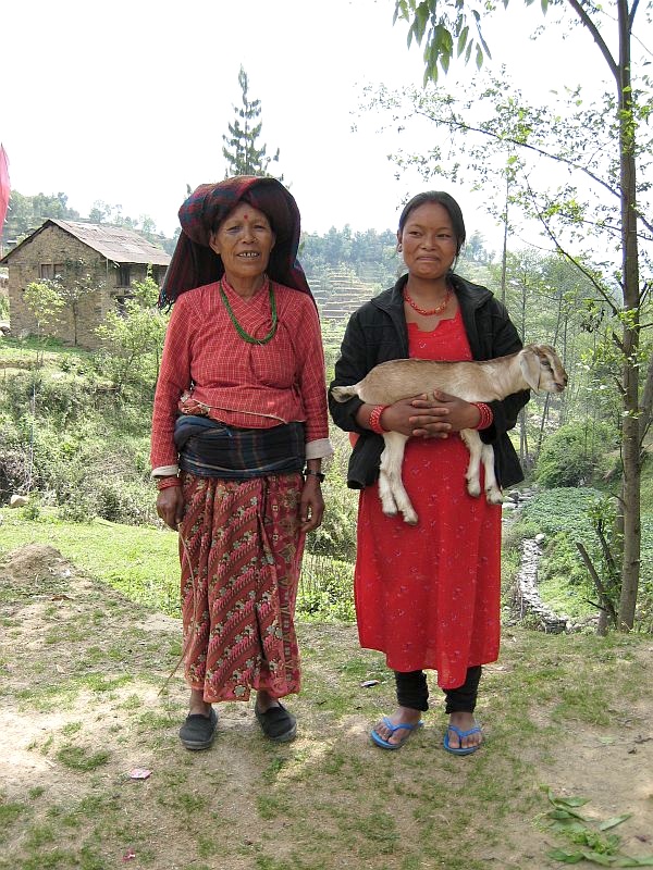 Nepal: Die Ziege hat es gut und wird getragen