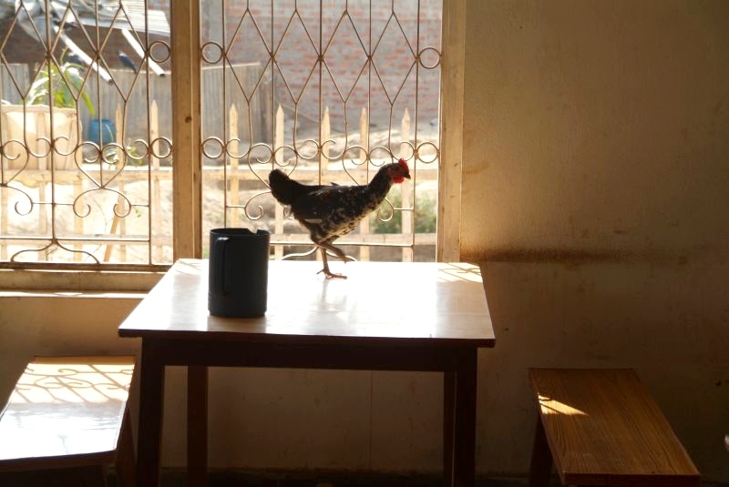 Nepal: Huhn tanzt auf dem Tisch