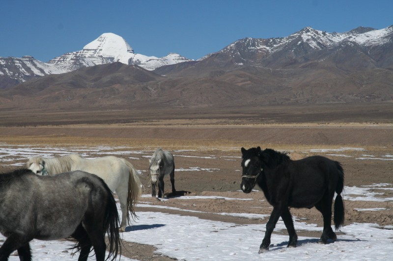 tibet3 016
