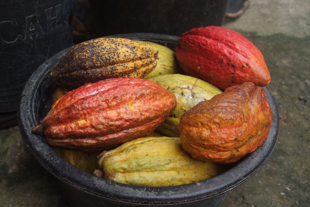 Sumatra Indonesien Hello Mister 029